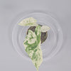 Rare Houseplants - Alocasia Macrorrhizos 'camouflage' - J | Rare Houseplants - Odd Leaf